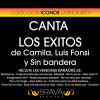 Brava HitMakers - Canta los Exitos de Camila, Luis Fonsi y Sin Bandera