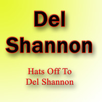 Del Shannon - Hats Off to Del Shannon