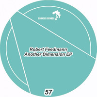 Robert Feedmann - Another Dimension