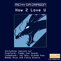 Dj Ricky Da Dragon - How 2 Love U