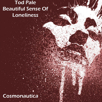 Tod Pale - Beautiful Sense Of Loneliness