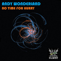 Andy Wonderland - No Time For Hurry