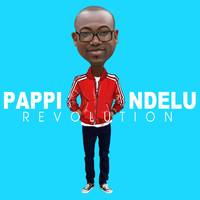 Pappi Ndelu - Revolution