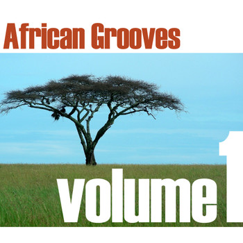 Various Artists - African Grooves Vol.1