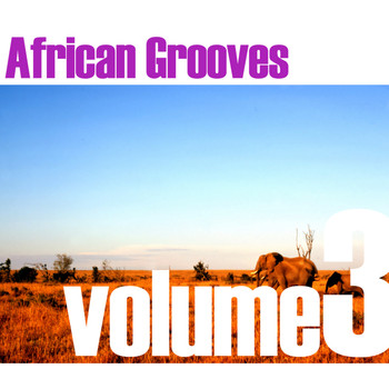 Various Artists - African Grooves Vol.3