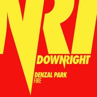 Denzal Park - Fire