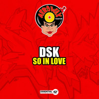 DSK - So in Love