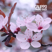 Calippo - Taking Over