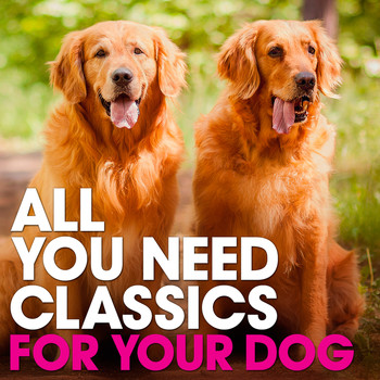 Various Artists - For Your Dog: All You Need Classics