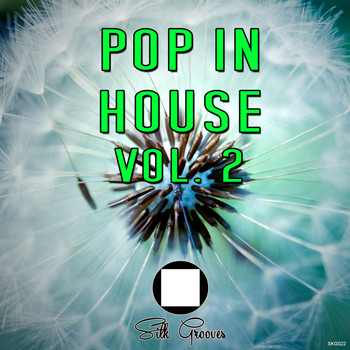 Various Artists - Pop in House Vol.2
