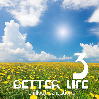 Various Artists - Better Life, Vol. 3