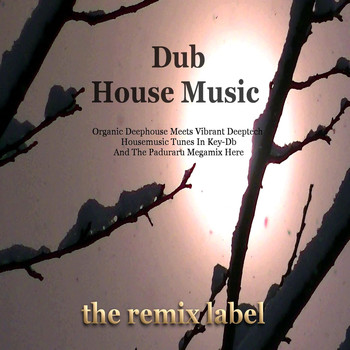 Various Artists - Dub House Music (Organic Deephouse Meets Vibrant Deeptech Housemusic Tunes In Key-Db and the Paduraru Megamix Here)