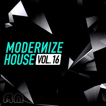Various Artists - Modernize House, Vol. 16