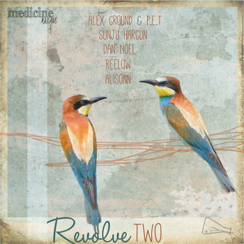 Various Artists - Revolve Two