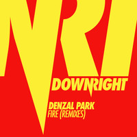 Denzal Park - Fire (Remixes) - Single