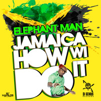 Elephant Man - Jamaica How Wi Do It - Single
