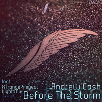 Andrew Cash - Before The Storm