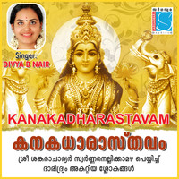 Divya B Nair - Kanakadharastavam