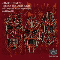 Jamie Stevens - Tribe Of The Disco Kings