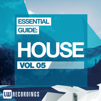 Various Artists - Essential Guide: House Vol. 05