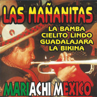 Mariachi Mexico - Las Mananitas (Instrumental)