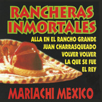 Mariachi Mexico - Rancheras Inmortales (Instrumental)