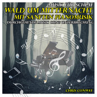 Chris Conway - Musik für Schlaf: Wald um Mitternacht mit sanften Pianomusik