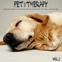 Little Toy - Pet Music Therapy, Vol. 3 (Relaxing Music and Nature Sounds Relaxation for Pets, Cats & Dogs)