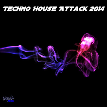 Various Artists - Techno House Attack 2014