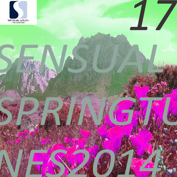 Various Artists - Sensual Spring Tunes 2014