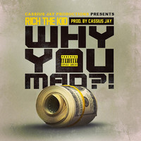 Cassius Jay - Why You Mad (Explicit)