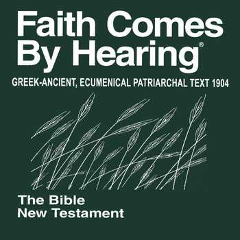 Bible - Greek-Ancient New Testament (Non-Dramatized) 1904 Ecumenical Patriarchal Text