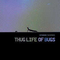 MetroGnome:Falcotronik - Thug Life of Bugs