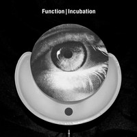 Function - Incubation