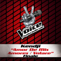 Kendji Girac - Amor De Mis Amores / Volare - The Voice 3