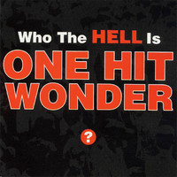 One Hit Wonder - Who The Hell Is