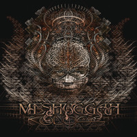 Meshuggah - Break Those Bones Who Sinews Gave It Motion