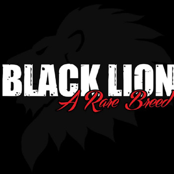 Black Lion - A Rare Breed