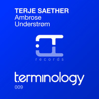 Terje Saether - Ambrose / Understrom