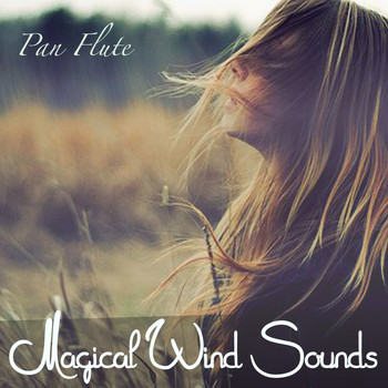 Various Artists - Magical Wind Sounds