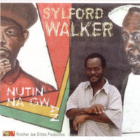 Sylford Walker - Nutin Nah Gwan
