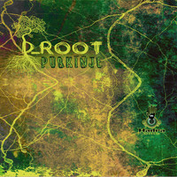 D_Root - Purkinje