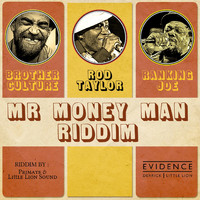 Little Lion Sound - Mr Money Man Riddim
