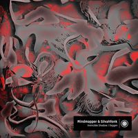 Mindmapper & Silvahfonk - Invincible Shadow / Oxygen