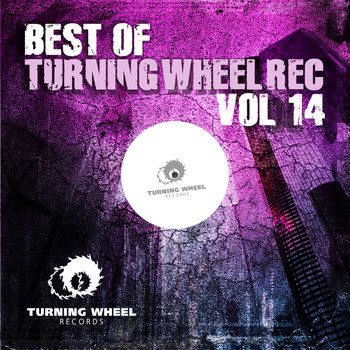 Various Artists - Best of Turning Wheel Rec, Vol. 14