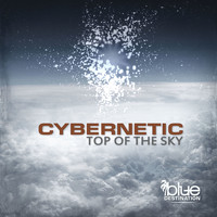 Cybernetic - Top of the Sky