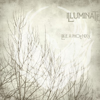 Illuminate - Like a Phoenixx