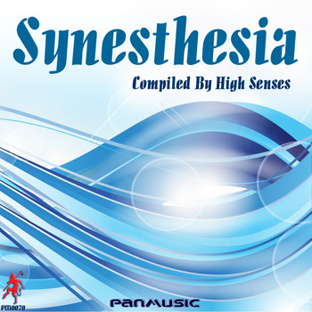 Various Artists - Synesthesia