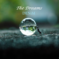 Denim - The Dreams