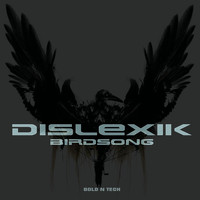 Dislexik - BirdSong